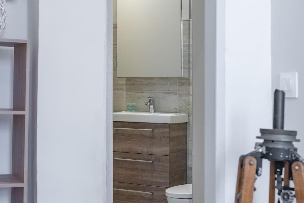 Magnolia Magnifique T2 Entierement Renove. Apartment Montauban Ngoại thất bức ảnh